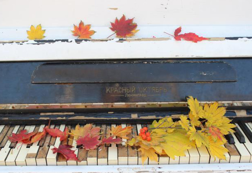 ピアノの鍵盤の上の落ち葉