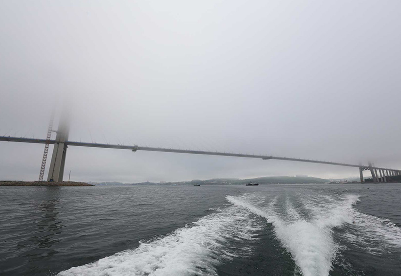 霧ですっかり隠れたルースキー大橋（斜張橋）の塔